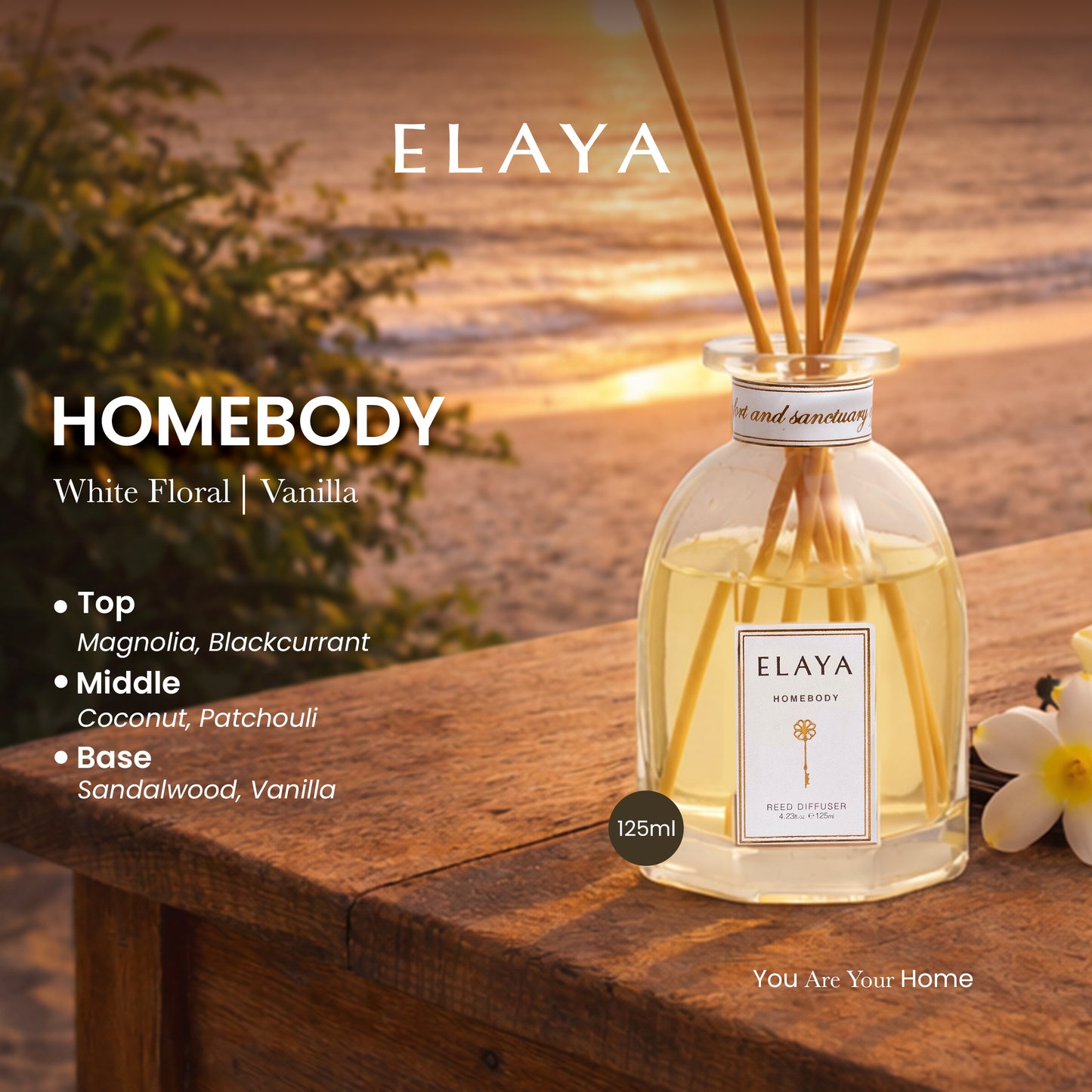Homebody